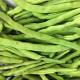 BIO Fazole keříčková Maxi - Phaseolus vulgaris - bio semena fazole - 20 ks