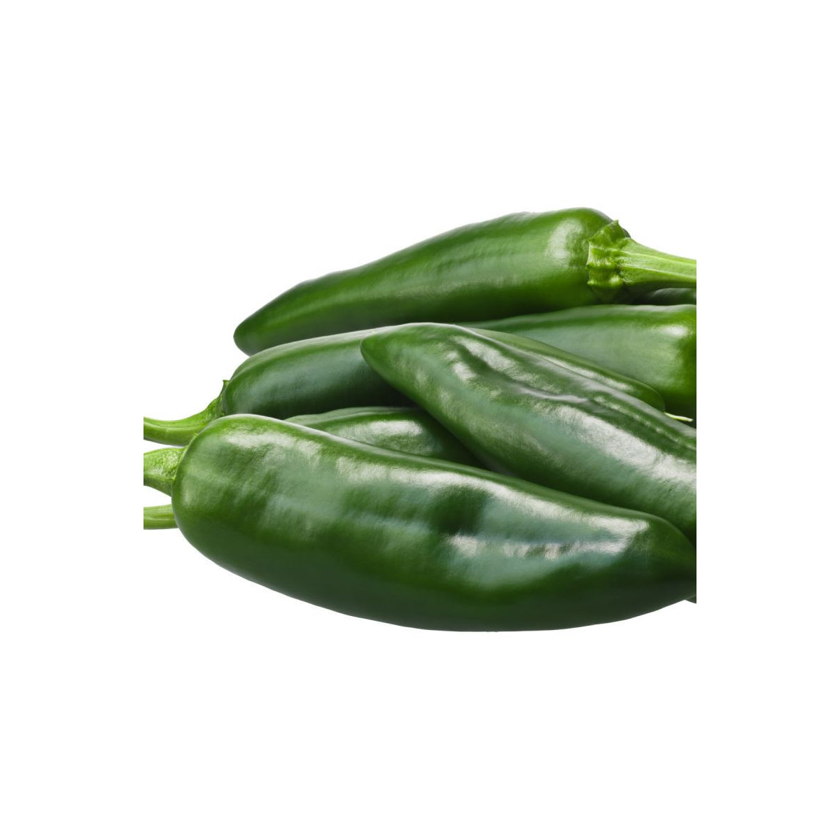 Chilli Ancho - Capsicum annuum - semena chilli - 6 ks