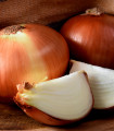 Cibule ozimá Hiberna - Allium cepa - semena cibule - 250 ks
