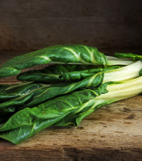 Mangold Lucullus - Beta vulgaris - semena mangoldu - 100 ks