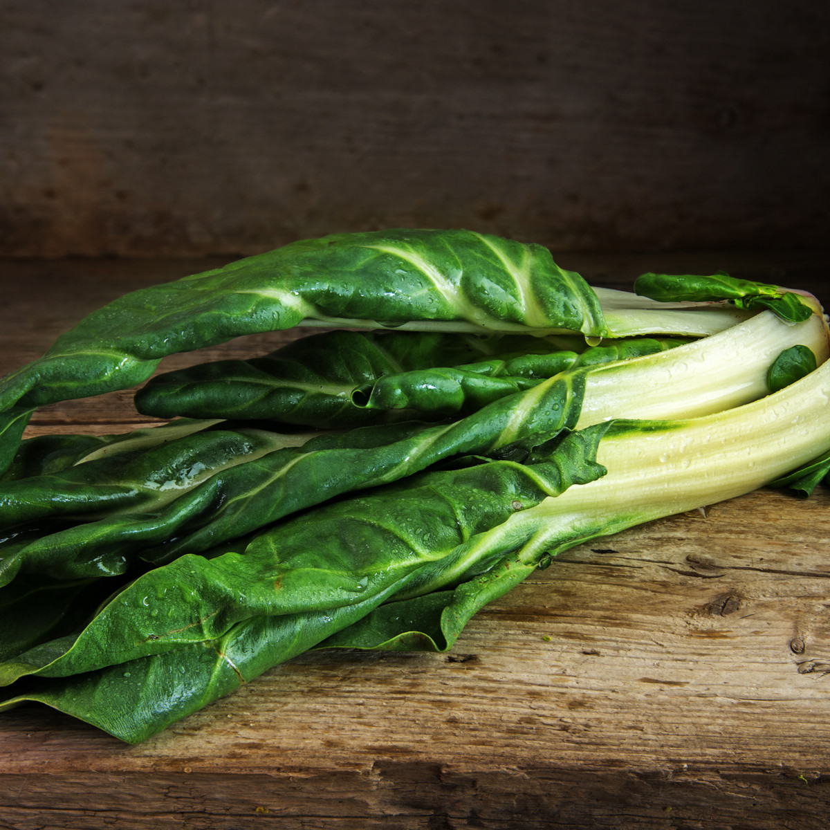 BIO Mangold Lucullus - Beta vulgaris - bio semena mangoldu - 45 ks