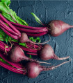 BIO Řepa Ägyptische Plattrunde - Beta vulgaris - bio semena řepy - 50 ks
