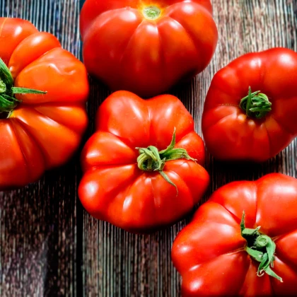 BIO Rajče Marmande - Solanum lycopersicum - bio semena rajčete - 15 ks