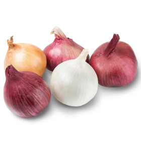 Лук