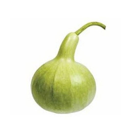 Лагенария