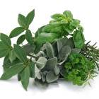 Aromatické koření