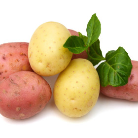 Посадъчни картофи