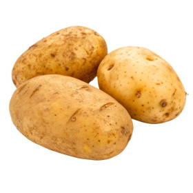 BIO sadba brambory