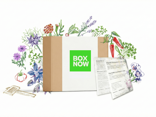 BoxNow